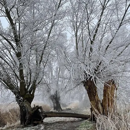 Mario Am Bodensee Апартаменты Хёкст